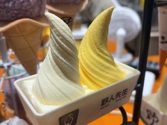 -野人先生现做冰淇淋(北京环宇荟店)