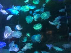 -台州海洋世界