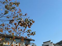 -塔川景区
