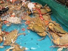 -初色海鲜自助(万丰路店)
