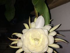 -晓港公园