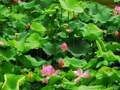 -3W咖啡(国家软件园店)