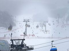 -中旅松花湖滑雪场