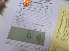 -御宝贝·A梦猫科宠物医院(国际猫友好医院)
