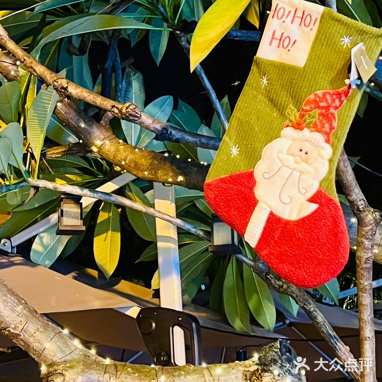 好久没来，依然是广州泰菜天花板