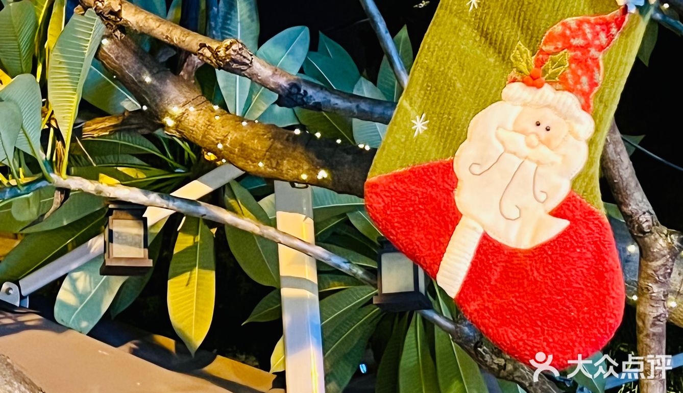 好久没来，依然是广州泰菜天花板