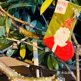 好久没来，依然是广州泰菜天花板