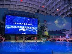 -海合安武汉极地海洋公园