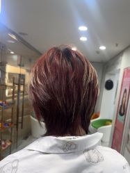 -镁连社·美联社