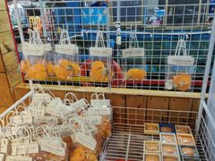 -蓝湾碧波·老字号·疍家非遗海上餐厅