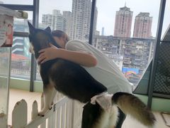 -怪兽屋·羊驼·猫咖·狗咖(俊华广场店)