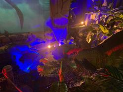 -恐龙探索乐园(磁器口店)