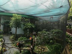 -九龙公园
