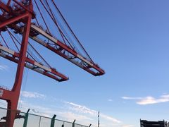 -洋山深水港