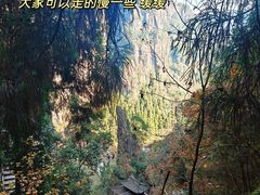 -刘伯温故里景区百丈漈