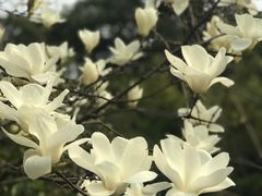 -韩湘水博园