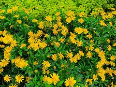 -大龙山(地铁站)