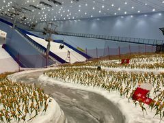 -广州热雪奇迹