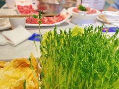 -俏牛哥鲜牛肉牛肆馆(重庆天地店)