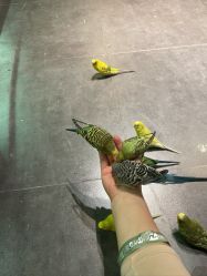 -酷嗒动物文化乐园(cutezoo西溪乐天城店)