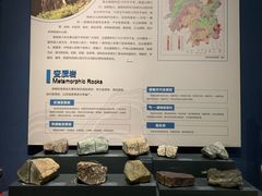 -湖南省地质博物馆