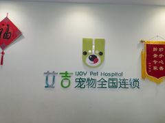 -艾吉宠物医院·疑难杂症转诊中心·猫友好(碧江路院)