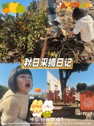 -前小桔亲子创意农场·草莓采摘·露营烧烤