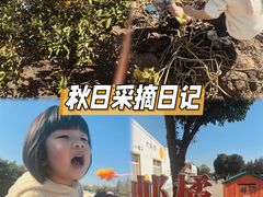 -前小桔亲子创意农场·草莓采摘·露营烧烤