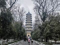 -灵谷景区