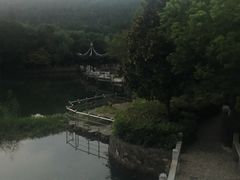-旺山景区