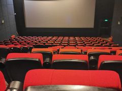 -大地影院(武江中环广场店)