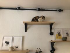 -隅cafe(傅厚岗店)