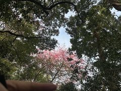 -福道
