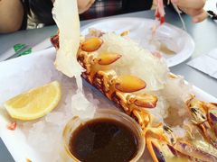 -悉尼鱼市场