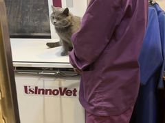 -宠爱国际动物医院·消化内科·心肾内科·ISFM猫友好(望京店)