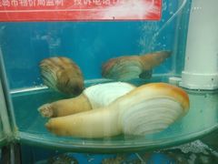 -聚德福海鲜家常菜(刘庄店)