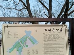 -西海子公园