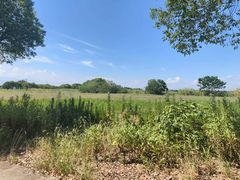 -蟹村草堂·苏式园林人文农家·大闸蟹