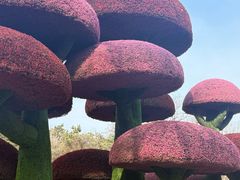 -沈阳植物园