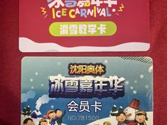 -沈阳奥体冰雪嘉年华