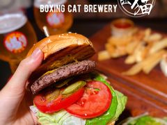 -Boxing Cat Brewery拳击猫精酿啤酒馆(思南公馆店)