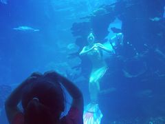 -海棠湾洲际-涛·海底餐厅·美人鱼·自助餐·海底隧道