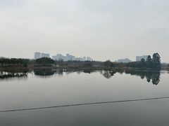 -眉山湿地公园(东坡区)