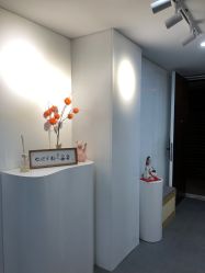 -DELAVAY黛乐薇抗衰中心