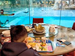 -帝企鹅自助餐厅•儿童岛•真企鹅(长隆企鹅酒店)