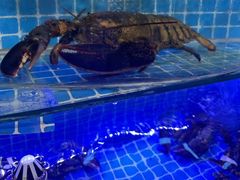 -老太太海鲜城(森林公园任家台店)