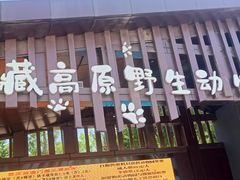-青藏高原野生动物园