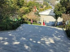 -上海佘山国家森林公园西佘山园