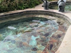 -中家鑫园温泉酒店鑫悦汤泉