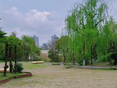 -黄兴公园